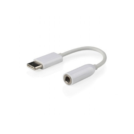 Adaptateur USB Type C vers Jack 3"1/2 mm