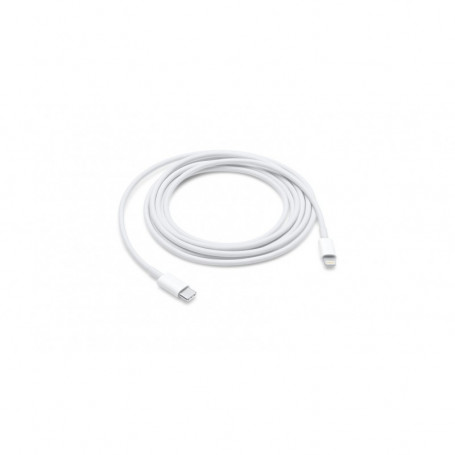 CABLE IPHONE ORIGINE LIGHTING VERS TYPE C 1M (MQGJAM/A)